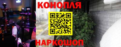 гидра Пушкино
